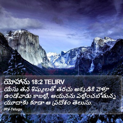 యోహాను 18:2 TELIRV Bible Verse Image