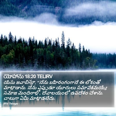 యోహాను 18:20 TELIRV Bible Verse Image