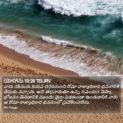 యోహాను 18:28 TELIRV Bible Verse Image