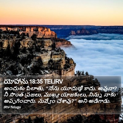 యోహాను 18:35 TELIRV Bible Verse Image