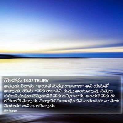 యోహాను 18:37 TELIRV Bible Verse Image