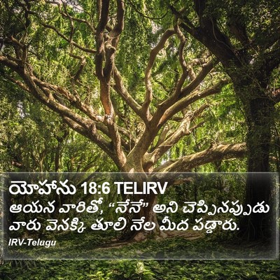 యోహాను 18:6 TELIRV Bible Verse Image