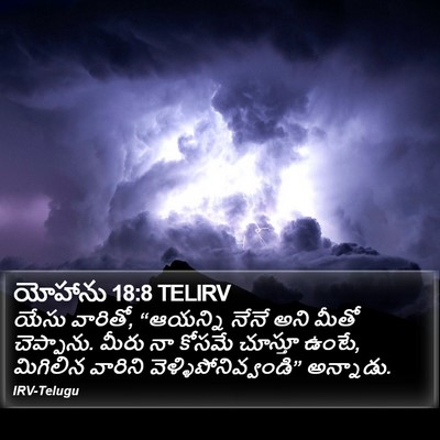 యోహాను 18:8 TELIRV Bible Verse Image
