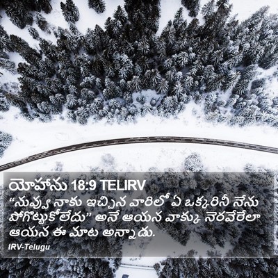 యోహాను 18:9 TELIRV Bible Verse Image