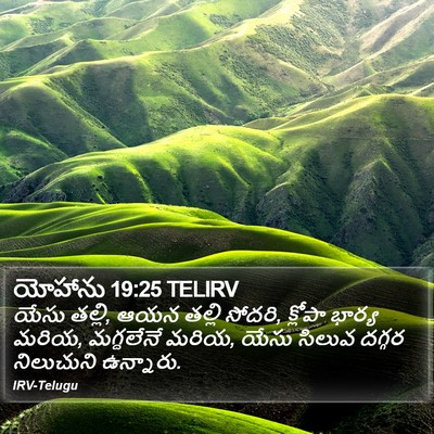 యోహాను 19:25 TELIRV Bible Verse Image