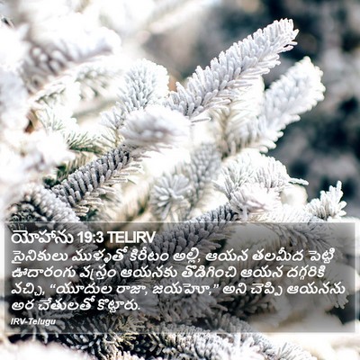 యోహాను 19:3 TELIRV Bible Verse Image
