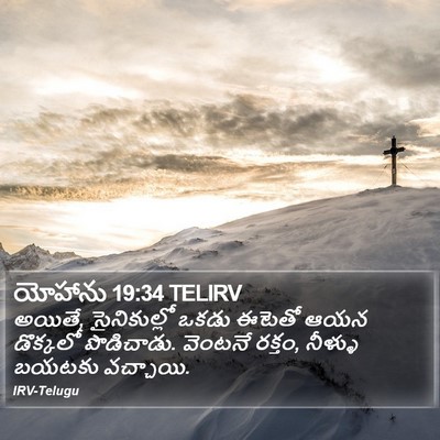 యోహాను 19:34 TELIRV Bible Verse Image
