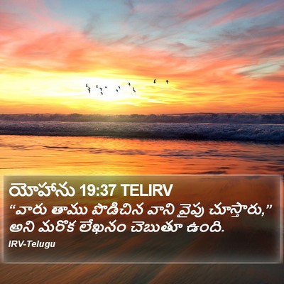 యోహాను 19:37 TELIRV Bible Verse Image