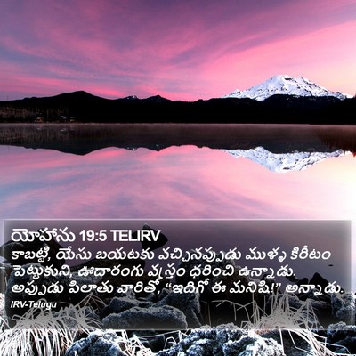 యోహాను 19:5 TELIRV Bible Verse Image
