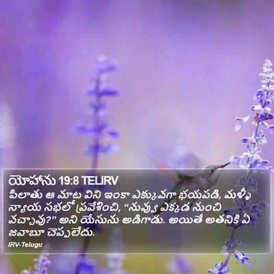 యోహాను 19:8 TELIRV Bible Verse Image