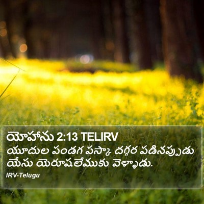 యోహాను 2:13 TELIRV Bible Verse Image