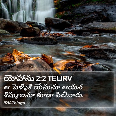 యోహాను 2:2 TELIRV Bible Verse Image