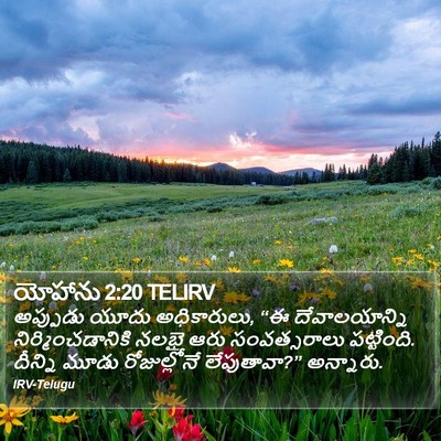 యోహాను 2:20 TELIRV Bible Verse Image