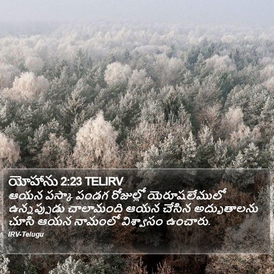 యోహాను 2:23 TELIRV Bible Verse Image