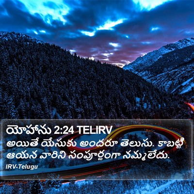 యోహాను 2:24 TELIRV Bible Verse Image