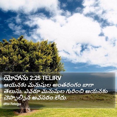 యోహాను 2:25 TELIRV Bible Verse Image