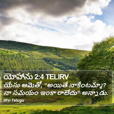 యోహాను 2:4 TELIRV Bible Verse Image