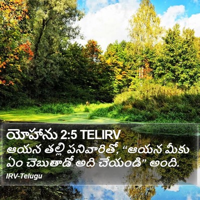యోహాను 2:5 TELIRV Bible Verse Image