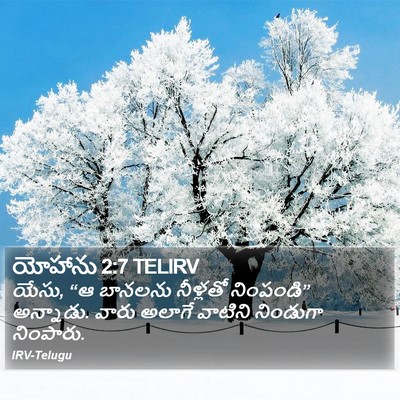 యోహాను 2:7 TELIRV Bible Verse Image
