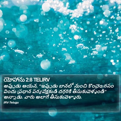 యోహాను 2:8 TELIRV Bible Verse Image