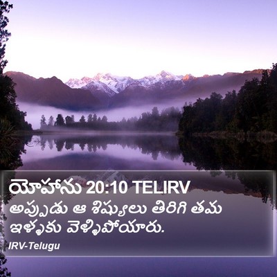 యోహాను 20:10 TELIRV Bible Verse Image