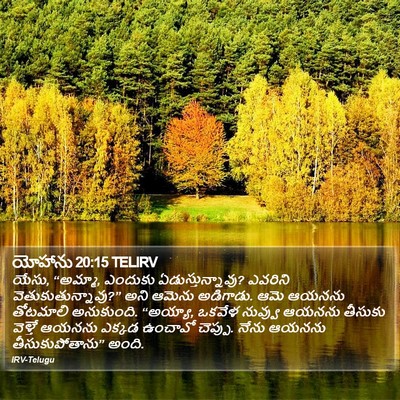 యోహాను 20:15 TELIRV Bible Verse Image