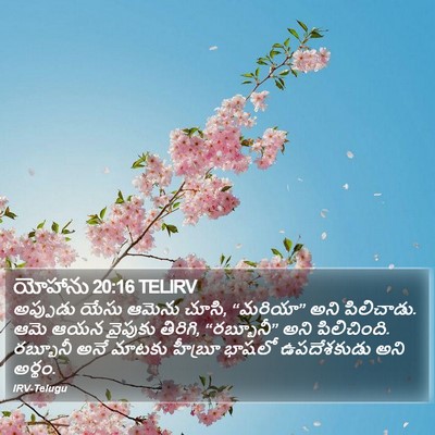 యోహాను 20:16 TELIRV Bible Verse Image
