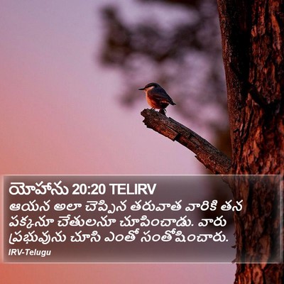 యోహాను 20:20 TELIRV Bible Verse Image