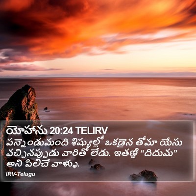 యోహాను 20:24 TELIRV Bible Verse Image