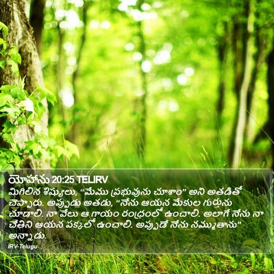 యోహాను 20:25 TELIRV Bible Verse Image