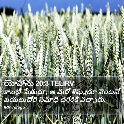 యోహాను 20:3 TELIRV Bible Verse Image