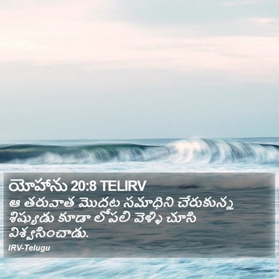 యోహాను 20:8 TELIRV Bible Verse Image