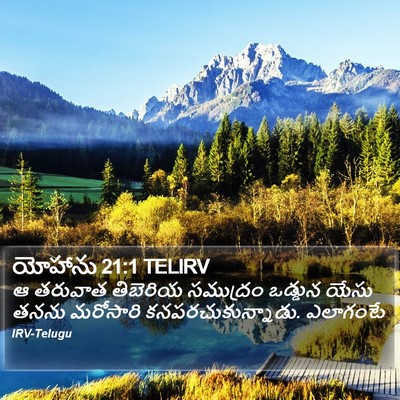 యోహాను 21:1 TELIRV Bible Verse Image