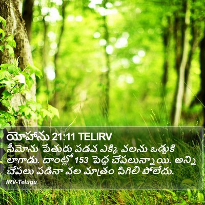 యోహాను 21:11 TELIRV Bible Verse Image