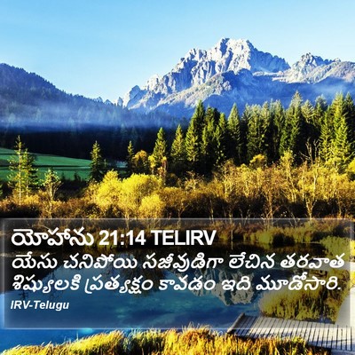 యోహాను 21:14 TELIRV Bible Verse Image