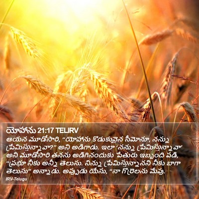 యోహాను 21:17 TELIRV Bible Verse Image