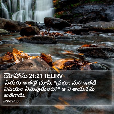 యోహాను 21:21 TELIRV Bible Verse Image