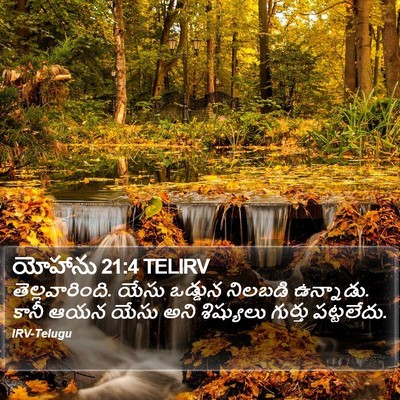 యోహాను 21:4 TELIRV Bible Verse Image