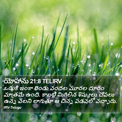 యోహాను 21:8 TELIRV Bible Verse Image
