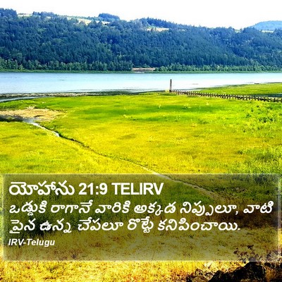 యోహాను 21:9 TELIRV Bible Verse Image