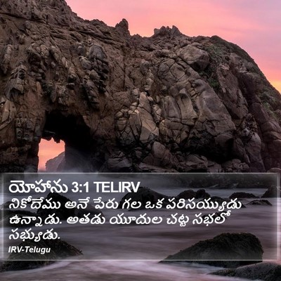 యోహాను 3:1 TELIRV Bible Verse Image