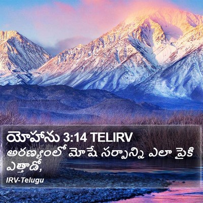 యోహాను 3:14 TELIRV Bible Verse Image