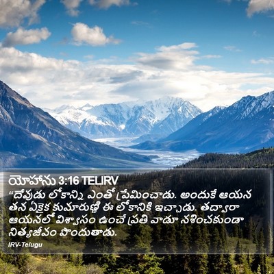 యోహాను 3:16 TELIRV Bible Verse Image