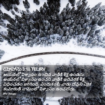 యోహాను 3:18 TELIRV Bible Verse Image