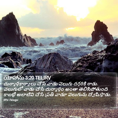 యోహాను 3:20 TELIRV Bible Verse Image