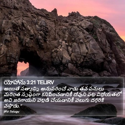 యోహాను 3:21 TELIRV Bible Verse Image