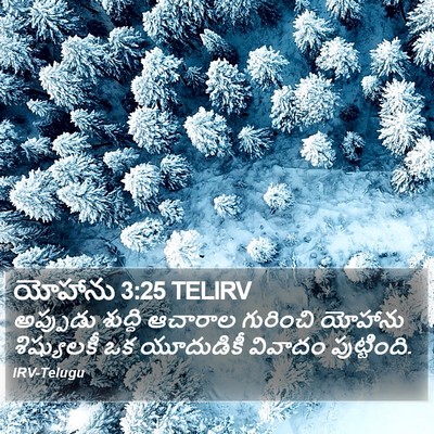 యోహాను 3:25 TELIRV Bible Verse Image