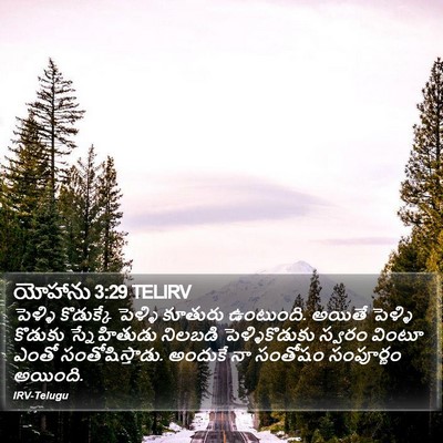 యోహాను 3:29 TELIRV Bible Verse Image