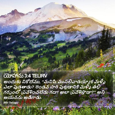 యోహాను 3:4 TELIRV Bible Verse Image