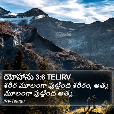 యోహాను 3:6 TELIRV Bible Verse Image